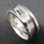 Stainless steel ring